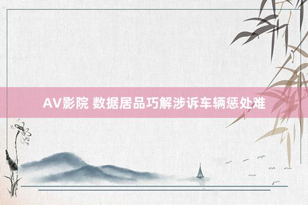 AV影院 数据居品巧解涉诉车辆惩处难