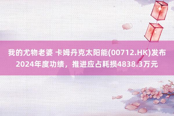 我的尤物老婆 卡姆丹克太阳能(00712.HK)发布2024年度功绩，推进应占耗损4838.3万元