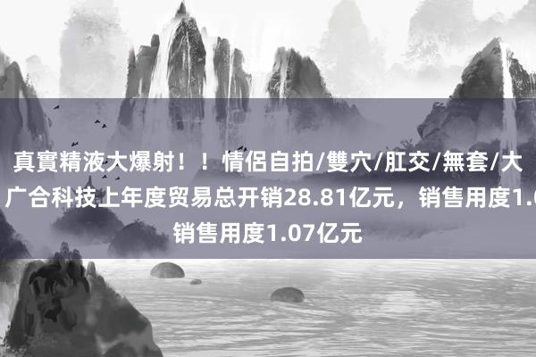 真實精液大爆射！！情侶自拍/雙穴/肛交/無套/大量噴精 广合科技上年度贸易总开销28.81亿元，销售用度1.07亿元