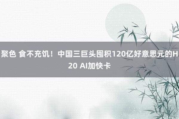 聚色 食不充饥！中国三巨头囤积120亿好意思元的H20 AI加快卡