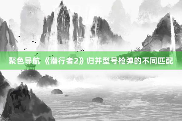 聚色导航 《潜行者2》归并型号枪弹的不同匹配