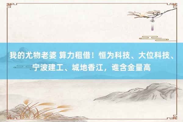 我的尤物老婆 算力租借！恒为科技、大位科技、宁波建工、城地香江，谁含金量高