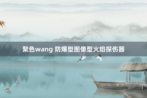 聚色wang 防爆型图像型火焰探伤器