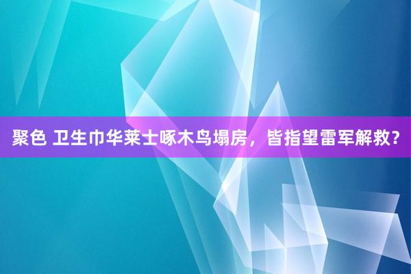 聚色 卫生巾华莱士啄木鸟塌房，皆指望雷军解救？