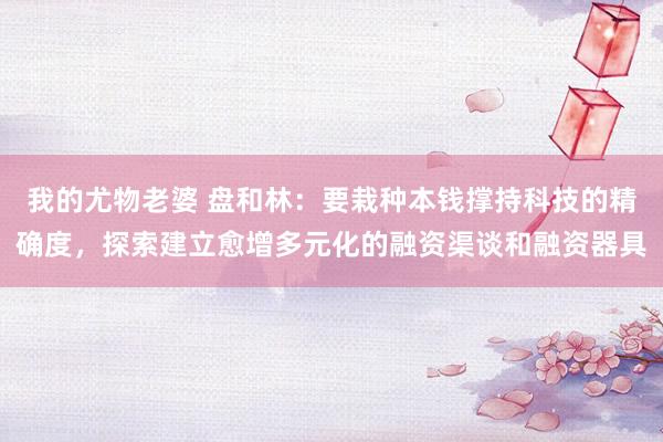 我的尤物老婆 盘和林：要栽种本钱撑持科技的精确度，探索建立愈增多元化的融资渠谈和融资器具