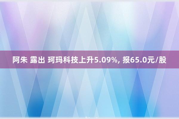 阿朱 露出 珂玛科技上升5.09%， 报65.0元/股