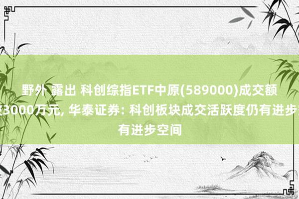 野外 露出 科创综指ETF中原(589000)成交额冲破3000万元， 华泰证券: 科创板块成交活跃度仍有进步空间