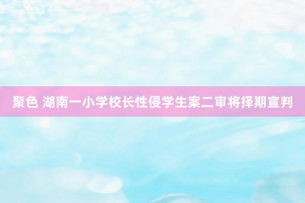聚色 湖南一小学校长性侵学生案二审将择期宣判
