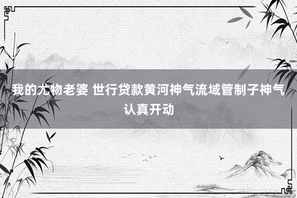 我的尤物老婆 世行贷款黄河神气流域管制子神气认真开动
