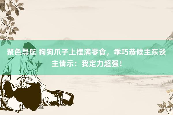聚色导航 狗狗爪子上摆满零食，乖巧恭候主东谈主请示：我定力超强！